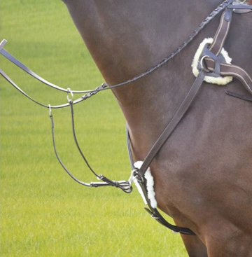 Shires Avignon Five Point Breastplate